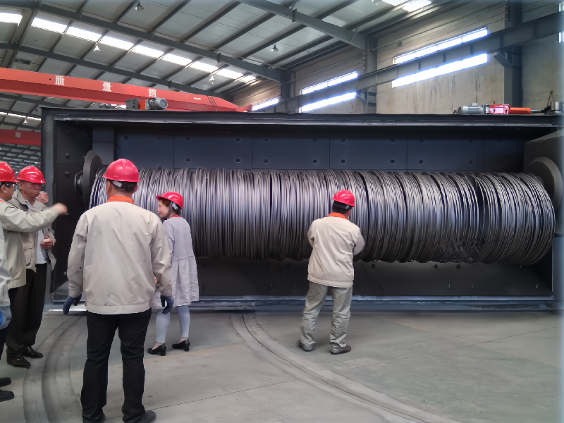 Wire Rod Shot Blasting Equipment(图1)