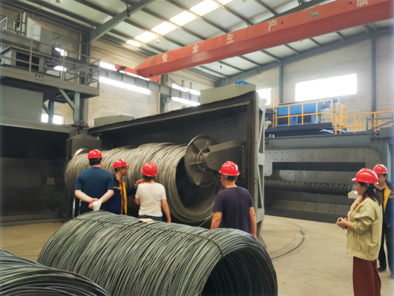 Wire Shot Blasting Machine(图1)