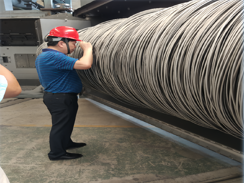Double Shaft Wire Rod Shot Blasting Machine(图1)